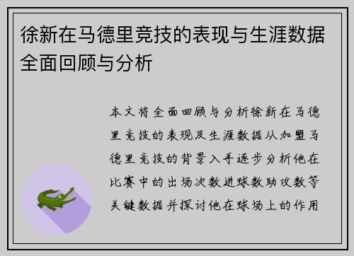 徐新在马德里竞技的表现与生涯数据全面回顾与分析