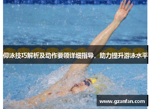 仰泳技巧解析及动作要领详细指导，助力提升游泳水平