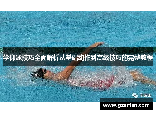 学仰泳技巧全面解析从基础动作到高级技巧的完整教程