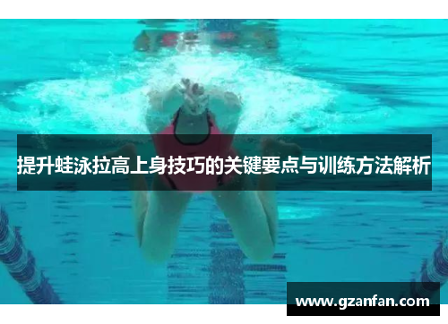 提升蛙泳拉高上身技巧的关键要点与训练方法解析
