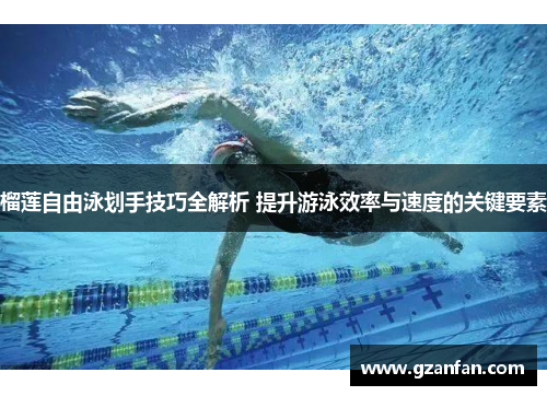 榴莲自由泳划手技巧全解析 提升游泳效率与速度的关键要素