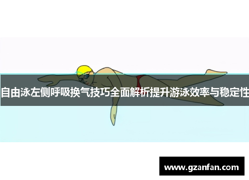 自由泳左侧呼吸换气技巧全面解析提升游泳效率与稳定性