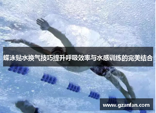 蝶泳贴水换气技巧提升呼吸效率与水感训练的完美结合